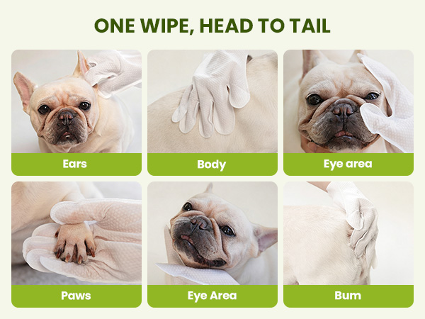 dog wipes
