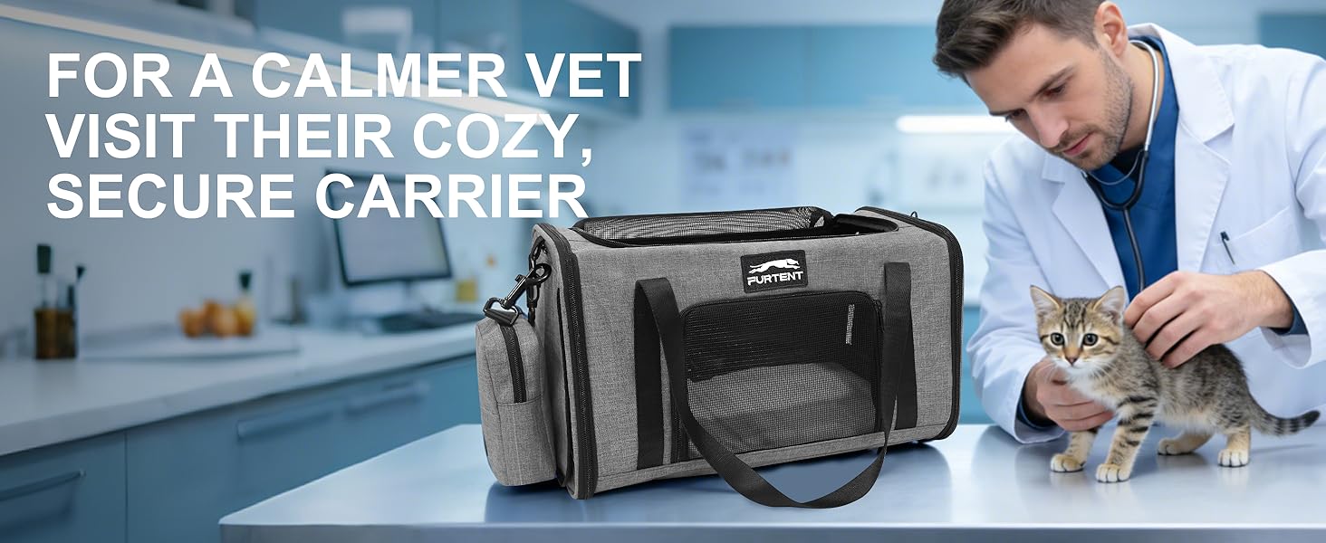 cat carrier grey