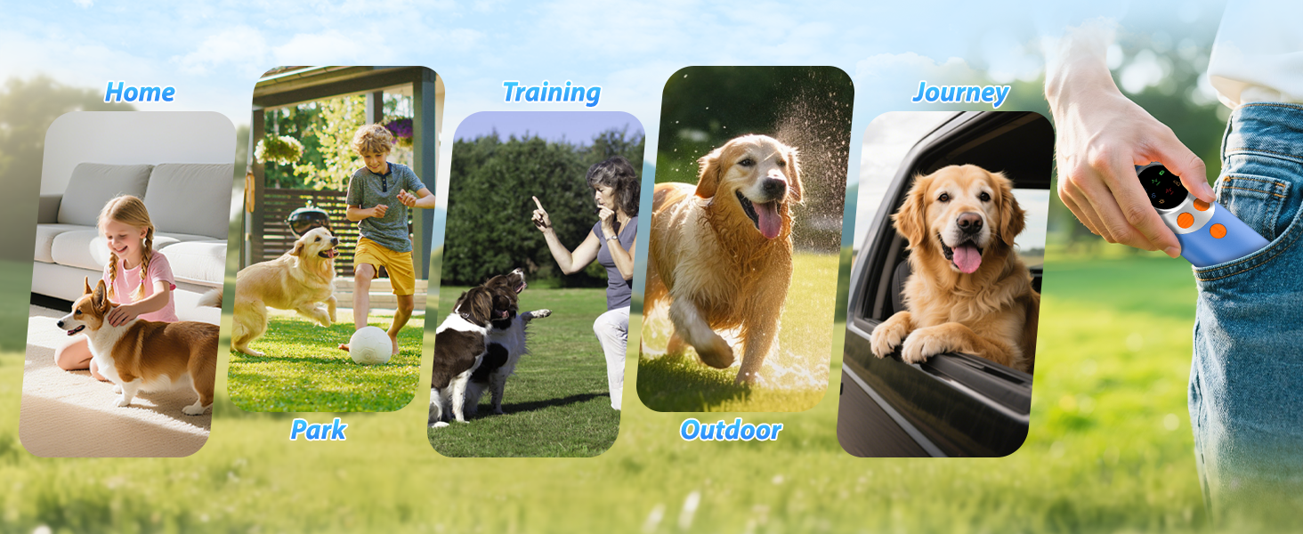 stop dog barking device