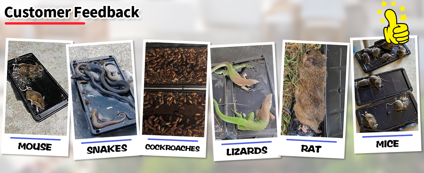 Pre-Scented Adhesive Plastic Tray