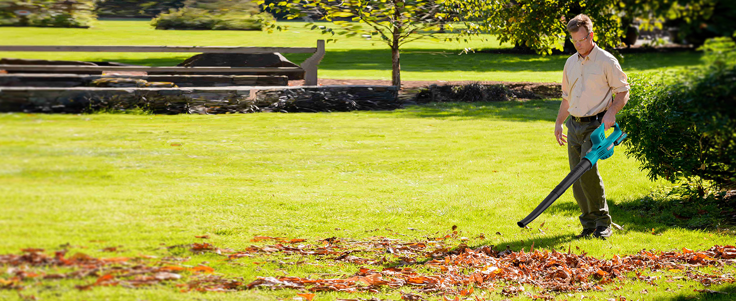 cordless leaf blower with battery and charger