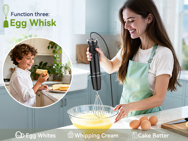 emulsion blender handheld