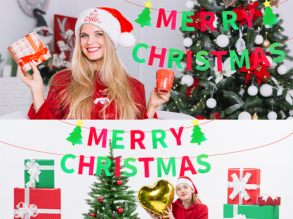 Merry Christmas Party Banner