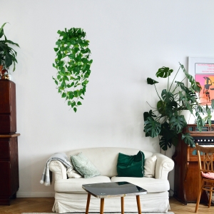 Decor for Live Room