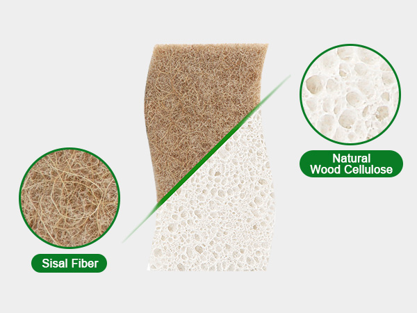 Natural Sponge