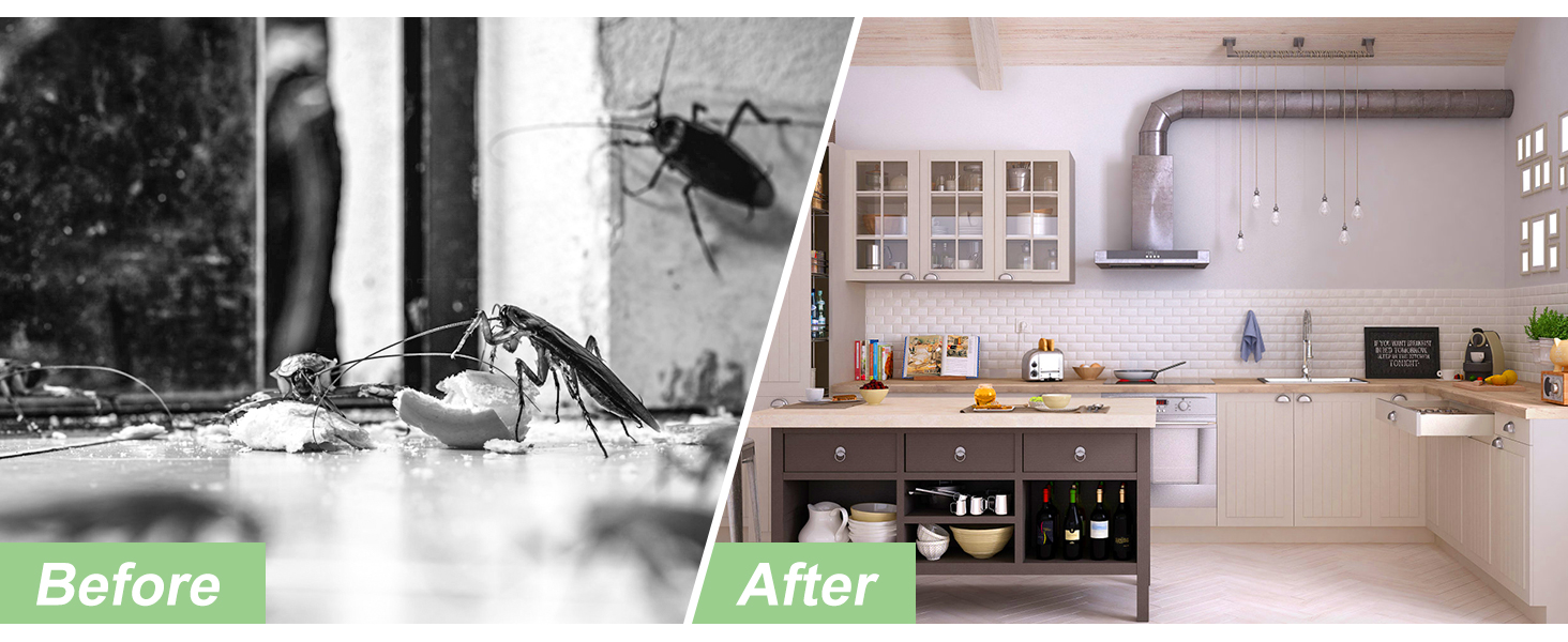 roach spray