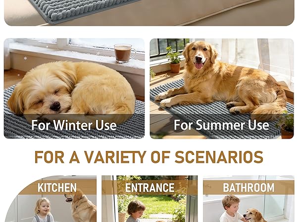 Dog Door Mat