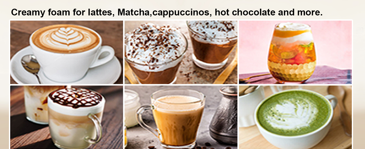 Milk Frother Handheld