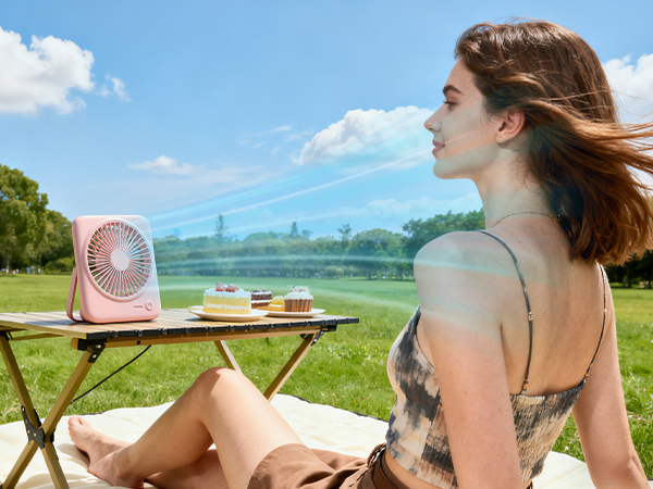 portable fan for cruise