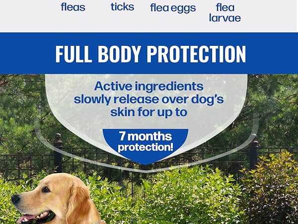 Full Body Protection
