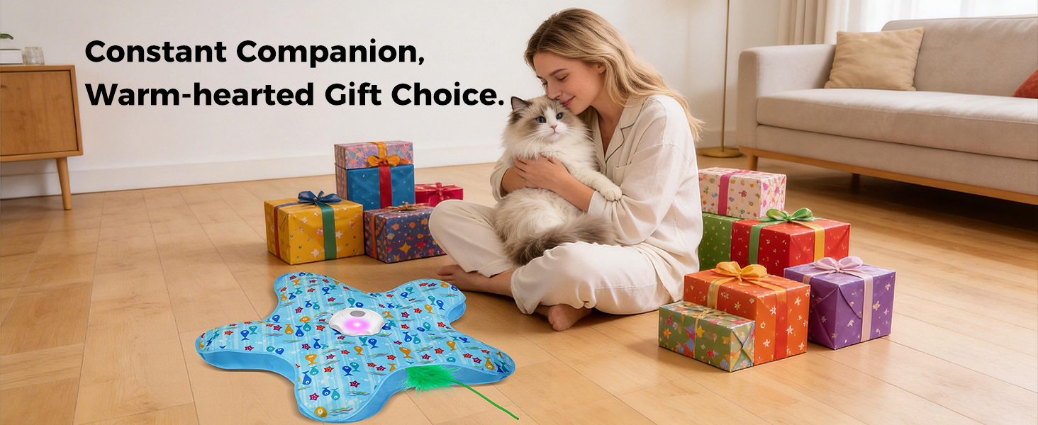 cat toys