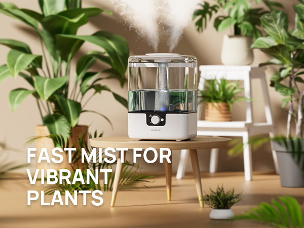 Humidifiers for Bedroom