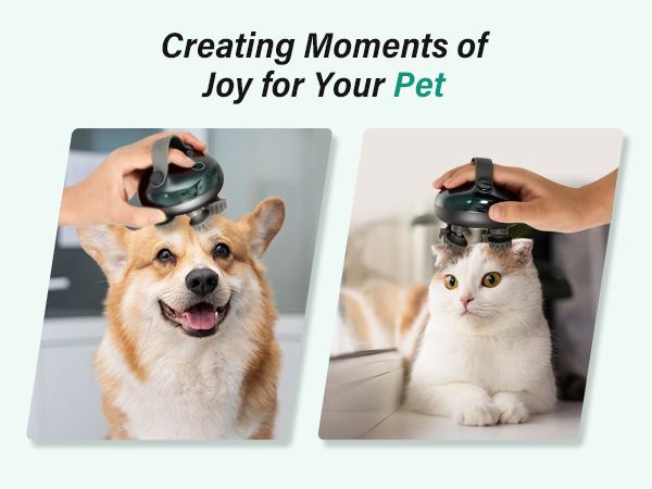Creating Joyful Moments for Your Pet with Our Pet Massager