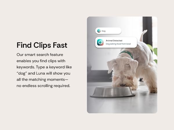 Indoor Camera 360-Degree Pan/Tilt, Pet/Person/Vehicle AI Motion Detection