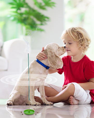 Mosquito Repellent Outdoor Patio