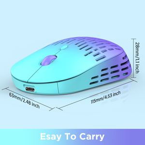 RAPIQUE R-03 Gradient wireless mouse A+??