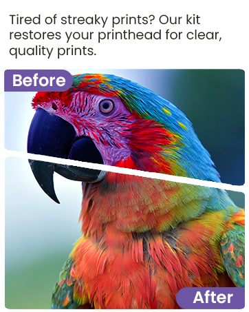 printer head cleaning kit epson