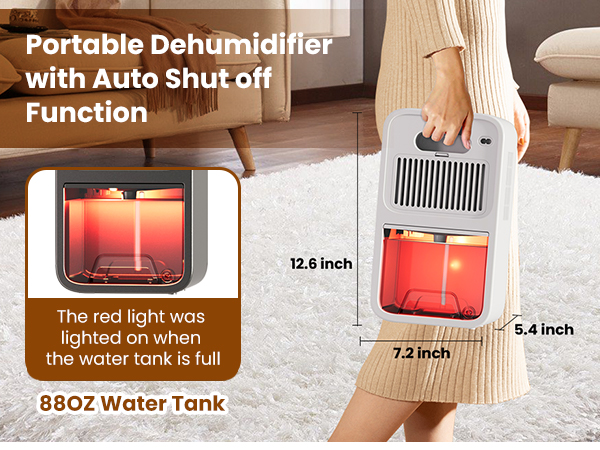 Small dehumidifier