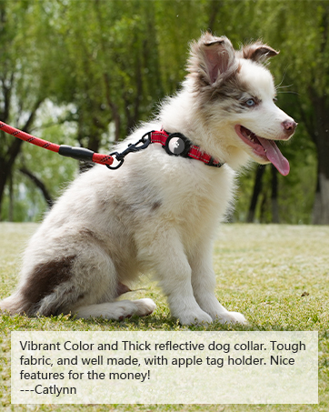 AirTag dog collar