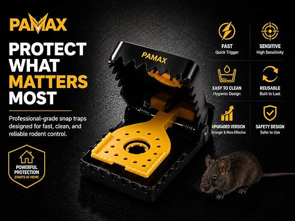 mouse traps indoor for home