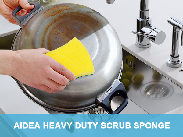 sponge