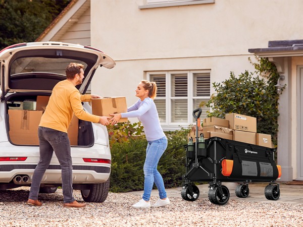 perfect for carrying groceries from garage to our apartment in one trip