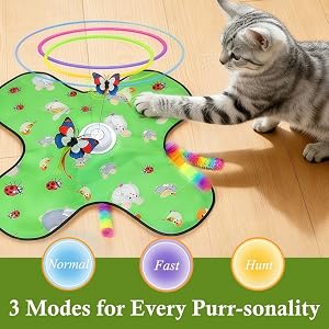 3 Modes for Every Purr-sonality