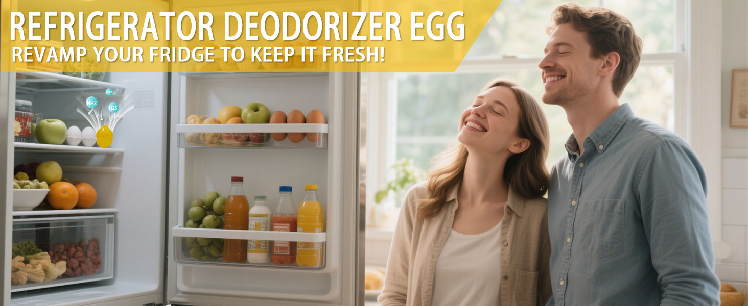 Refrigerator Deodorizer
