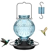 Tegarbed Glass Hummingbird Feeder for Outdoors Hanging, 20oz Bird Nectar Feeder with 4 Bee Guard ...