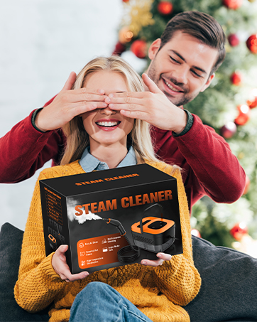 steam cleaner