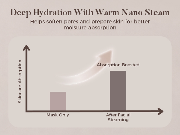 facial steamer professional