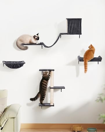 Wall Cat Furniture