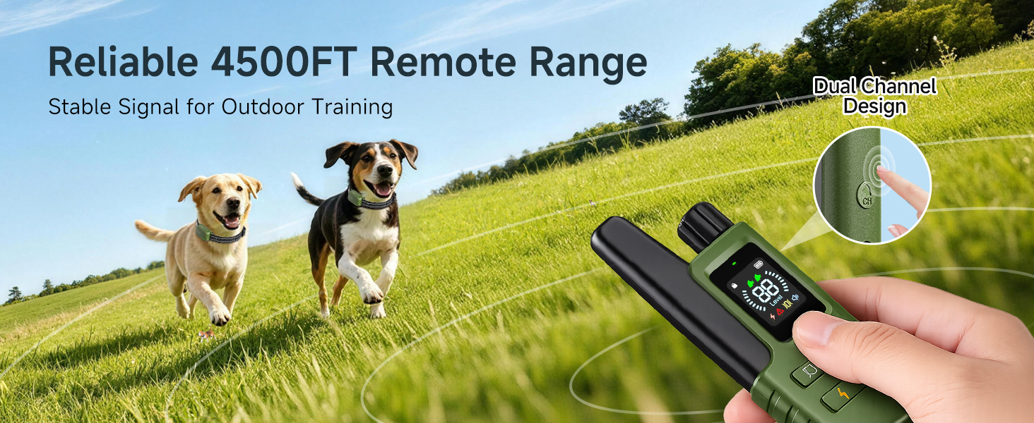 dog training collar