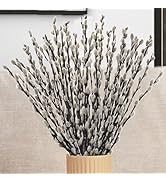 Oning 40 Stems Real Dried Pussywillow Preserved Greenery Branches for Vase- Natural Pussywillows ...