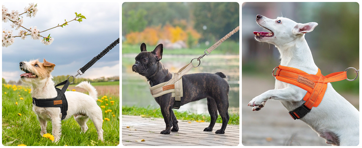 small dog harness