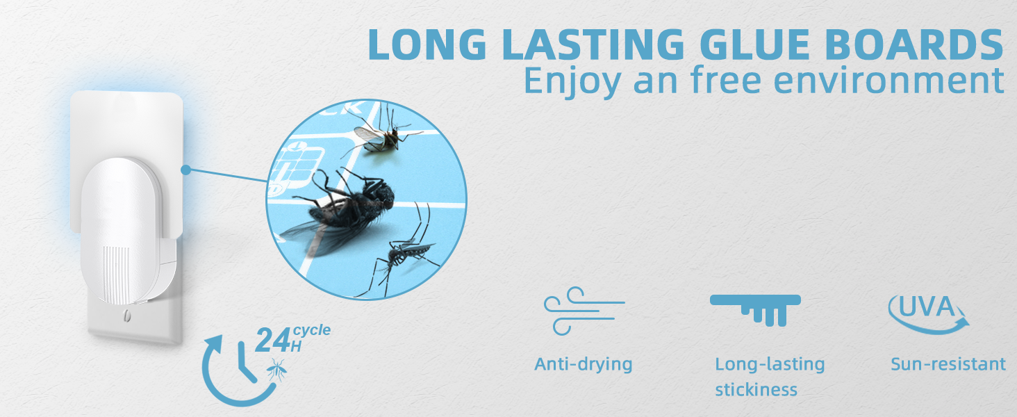 fly trap refill