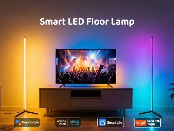 Floor Lamp-1