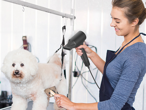 hair dryer blow dryer hair blower plasma hair dryer hair dryers for women diffuser hair dryer