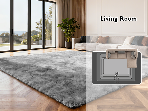 shag area rug for living room