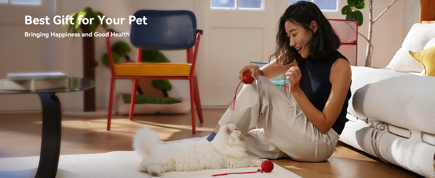 smart interactive pet toy ball