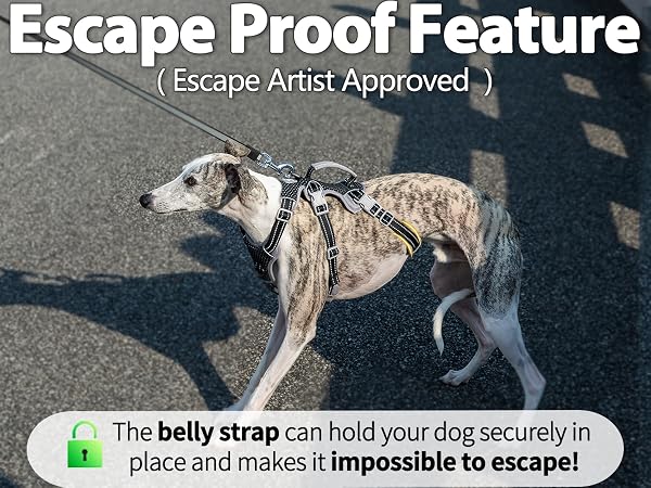 escape proof dog harness