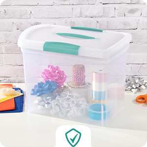 small see-through tote