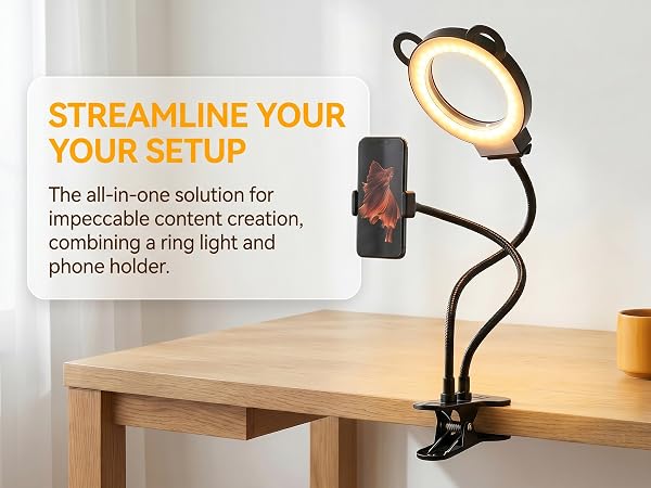 desk lamp-21