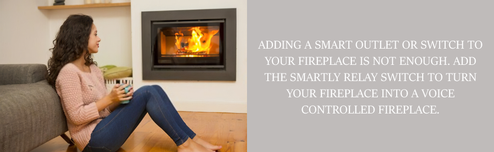 Voice Control Your Fireplace, 5 Volt Relay Switch Kit, Relay Kit, Micro USB Cable, Power Adapter