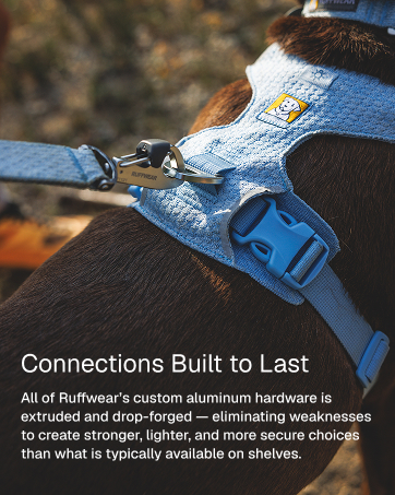 A dog and owner hiking on a scenic mountain trail wearing Ruffwear gear.