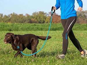 big carabiner clip locking carabiner locking carabiner keychain small locking carabiner