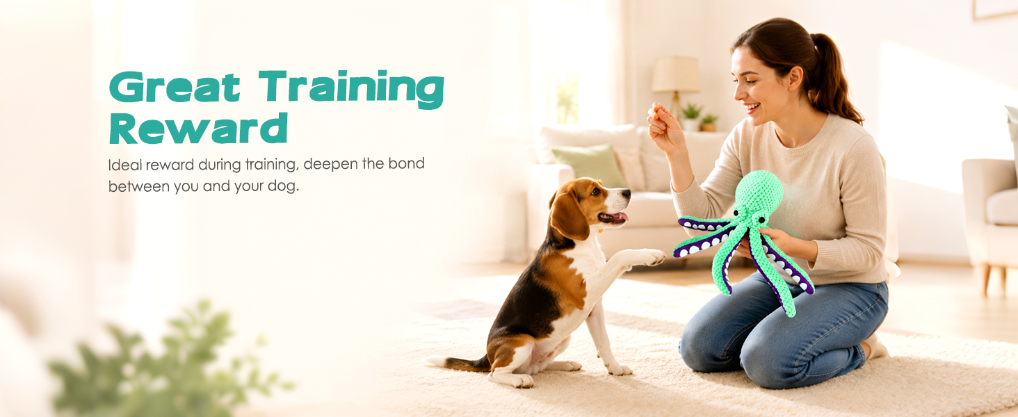training reward