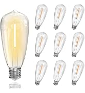 10 Pack ST40 Edison LED Light Bulbs Dimmable, 0.6W Replacement Bulbs for Outdoor String Lights, E...
