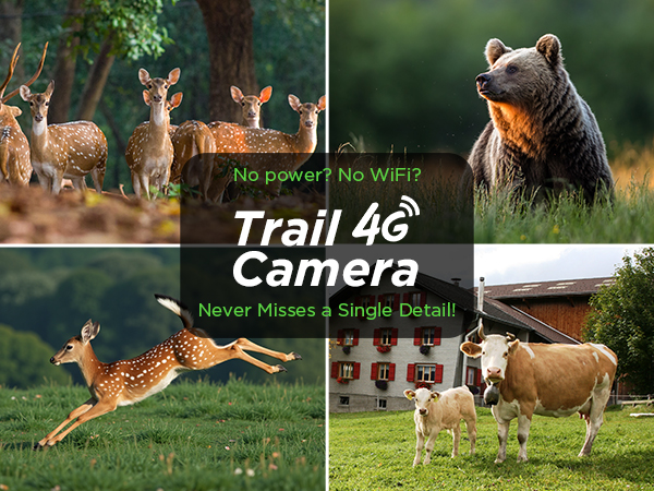 trail camera