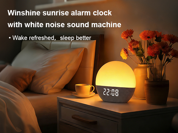 sleep sound machine for adults